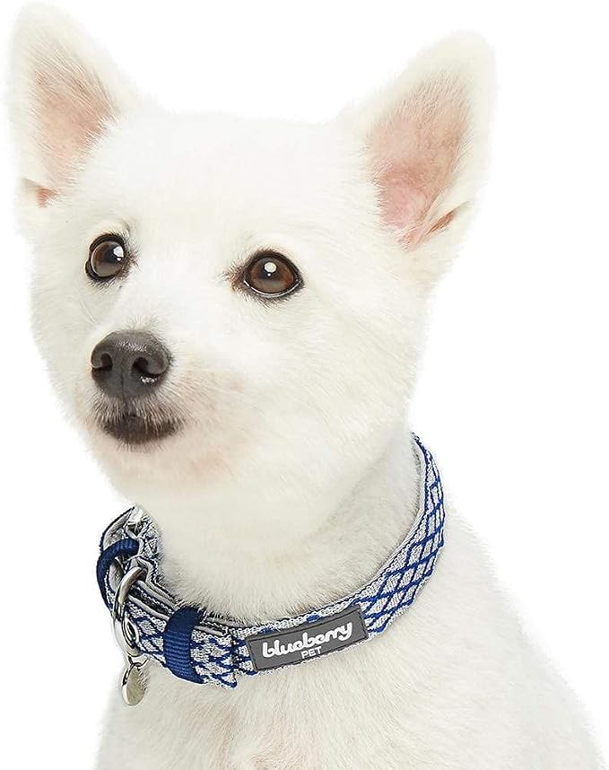 Blueberry Pet Diamond Pattern Adjustable Neoprene Padded Dog Collar with Metal Buckle - Royal Blue, Neck 9-12.5", for Small Breed