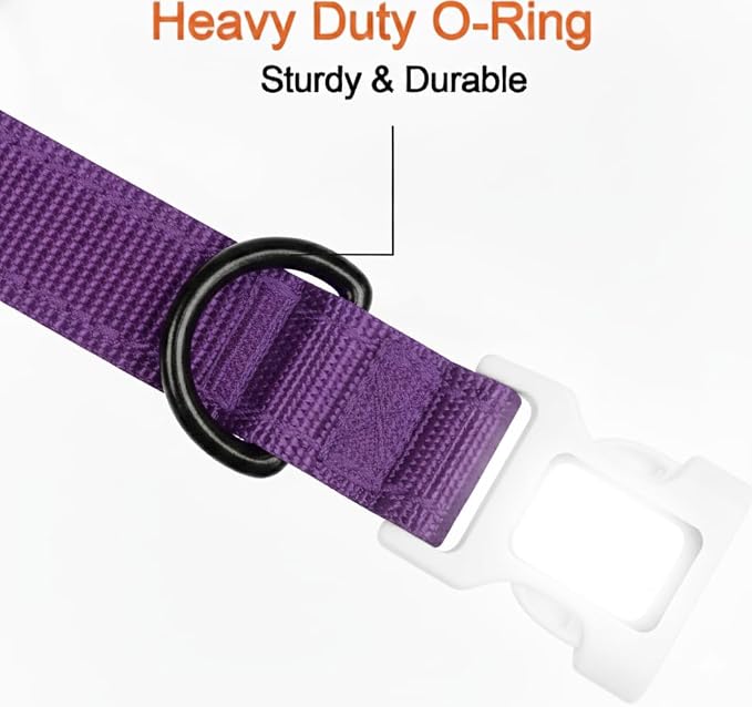 Dog Gone Smart Pet Products Super Bright LED All Day & Night Wear Safety Comet Collar Dogs, Adjustable Breathable Strong Nylon, Puppies, Large, Medium, Small