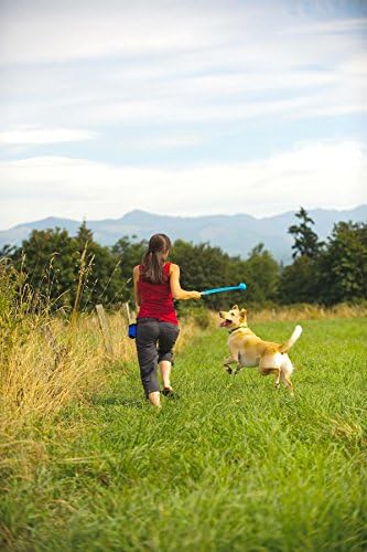 Chuckit! The Whistler Ball Dog Toy, Medium (2.5 Inch Diameter) for Dogs 20-60 lbs, Multicolor, 2 Count (Pack of 12)