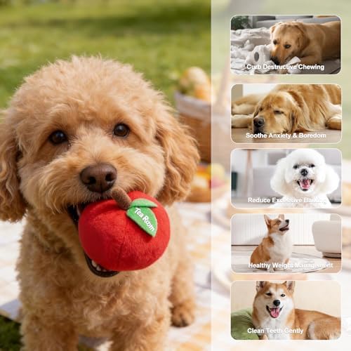 Apple Plush Chew Toy for Small Dogs & Puppies: Interactive Squeaker and Crinkle Sound, Teething Puppy Toy - Durable for Aggressive Chewers, Keeps Busy