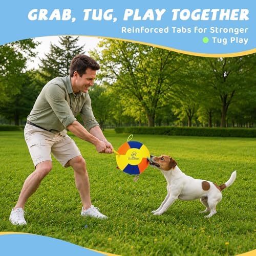 Small Herding Ball for Dogs, 9.8" Dog Soccer Ball with Straps