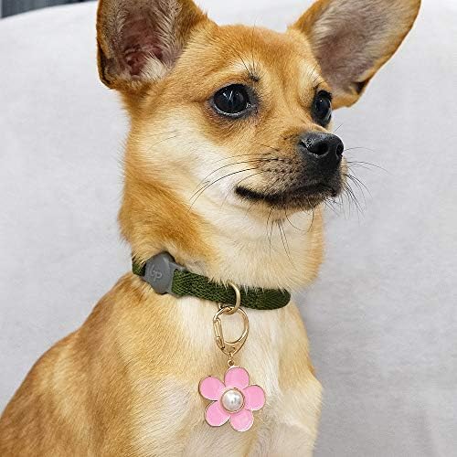 Blueberry Pet Cute Accessory Set of Floral Collar Slide Hair Clip and Pedant for Dogs & Cats, Pink Bowtie and Sunflower Pendant