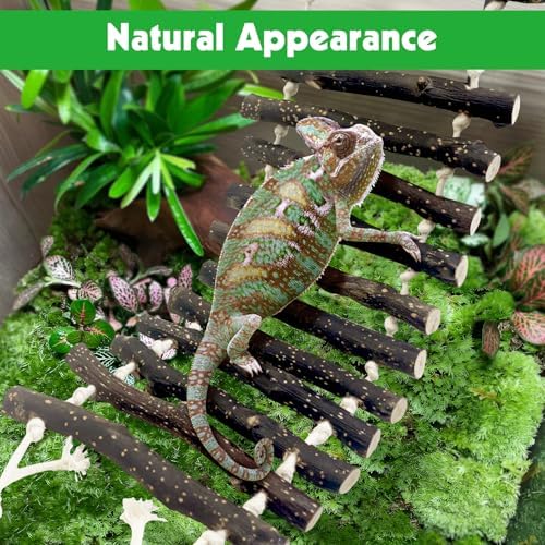 BNOSDM Reptile Bridge Wooden Ladder Climbing Accessories Hanging Swing
