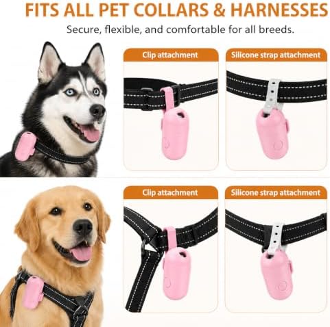Personalized Pet Projection Collar Light, Custom Photo Light Up Dog Collar