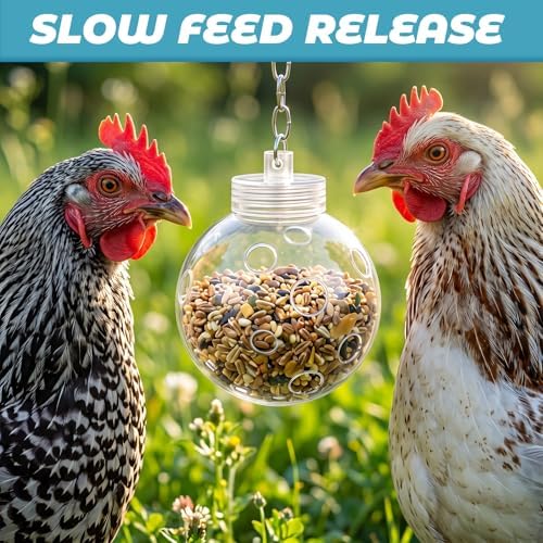 4 Pcs Chicken Treat Dispenser Interactive Slow Feeder Hanging Chicken Treat Ball with Chain Pecking Toys for Hens, Poultry Coop Accessories