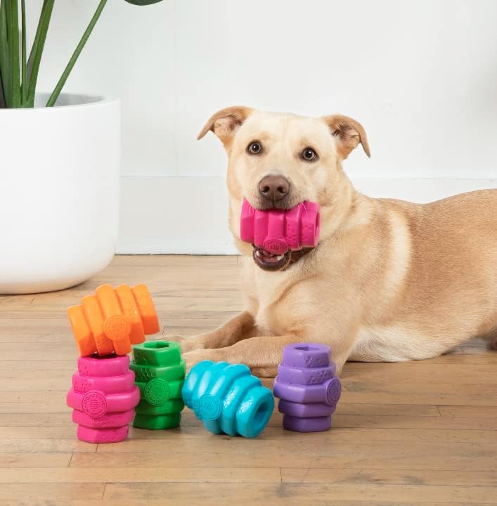 Hive Chew Toy for M/L Dogs – Pink/Wild Berry Scent – Chew, Fetch, & Treat-Dispensing Enrichment Toy, Floats, Made in USA, Pairs with Hive Chew Sticks for M/L Dogs for Longer-Lasting Play