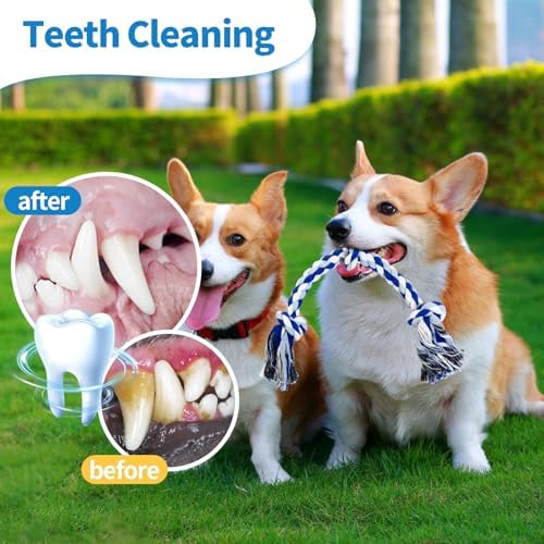WDZZHOT [2 Pack] Dog Rope Toys, Dog Chew Toy for Medium and Small Dogs, 3 Knots Heavy Duty Puppy Rope Toy, 100% Cotton Tug of War Dog Toys for Boredom, Teeth Cleaning