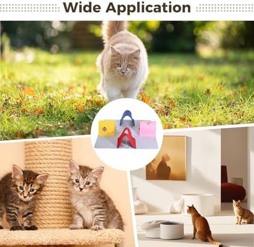 Cat Tunnel Toy, 4-Way Felt Interactive Feline Activity Mat, Large 35.4 x 35.4 in Foldable Play Structure with Colorful Tunnels, Soft Pet Cave for Indoor Exercise, Year-Round Fun