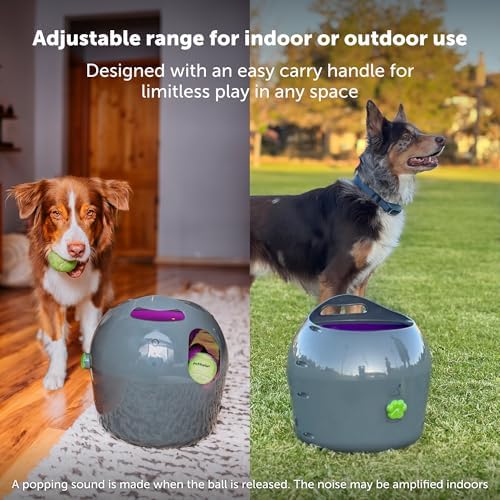 PetSafe Automatic Dog Ball Launcher
