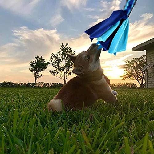 Interactive Dog Toys - Extendable Flirt Pole with 2pcs Fleece Lure Tugs for Dog Outdoor Entertainment, Train and Exercise, New Blue