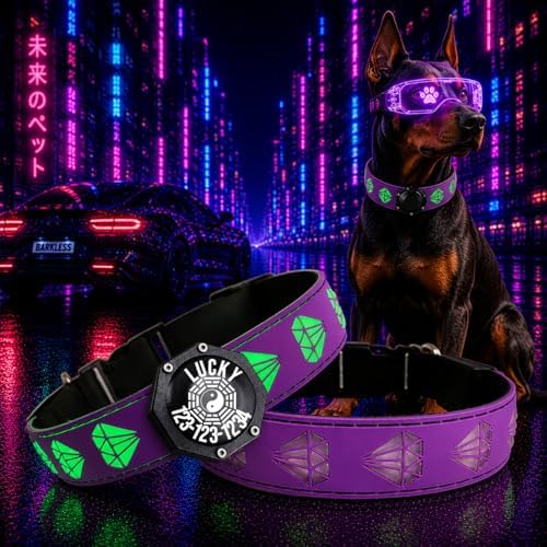 Light Up Glow Dog Collar with AirTag Holder, 15 Color Modes,