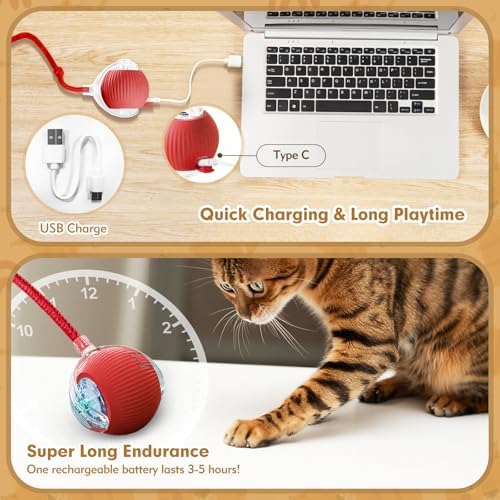 Interactive Cat Ball Toys for Indoor Cats, Peppy Pet Ball, 2025 Upgraded Automatic Kitten Toy for Bored Indoor Adult Cat, 360°Smart Rolling Toy (Red)