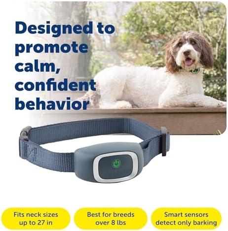 PetSafe Bark Collar | Progressive Static Correction, Built-in Safety Feature Prevents Over Correction, Waterproof, Dogs 8 lb+, Necks Up To 27 in