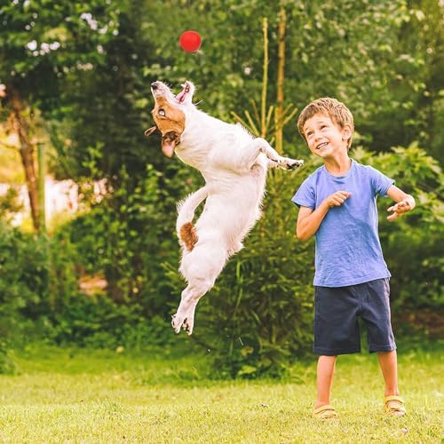 YoFellas Solid Red Rubber Dog Toy – Ultra Bounce, Indestructible Chew & Fetch Toy for Aggressive Chewers, Interactive Training for Small to Large Dogs (M, Striped)