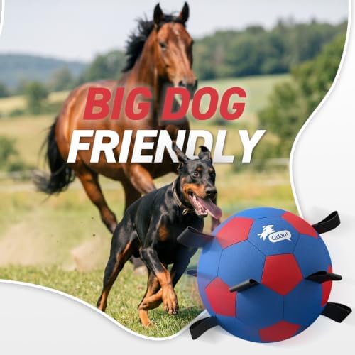 25 Inch Herding Ball for Dogs with Straps, Outdoor Dog Toys for Herding