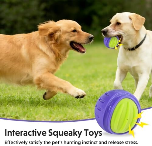Dog Toy Ball, Indestructible Squeaky Ball for Aggressive Chewers, 3" TPR Rubber Clean Teeth, Relieve Anxiety & Boredom, Interactive Fetch Toy for Medium Large Dogs, Pools &Outdoor Play (Purple)