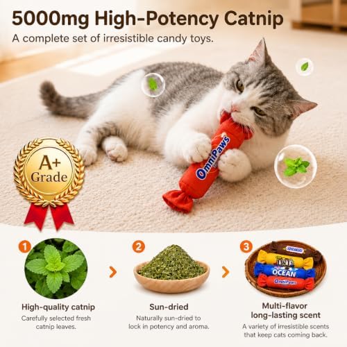 Gochanmon Cat Toys Candy Pillows,4 Pack, Catnip Inside,Soft and Durable Kick Sticks with Crinkle Sound, Interactive Indoor Kitten Play and Exercise Toy 7.9 Inches