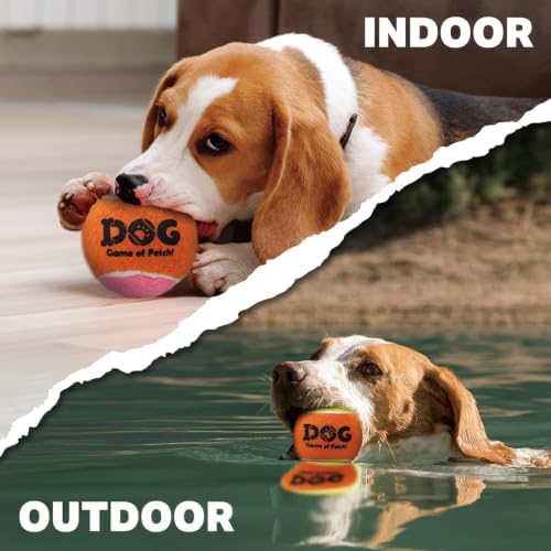 AMA SPORT Squeaky Tennis Balls for Dogs 2.5" Small Medium Dog Tennis Balls for Throwing and Fetching Dog Toys for Training, Exercise, High Bouncing 6 Pack (Multicolor A)