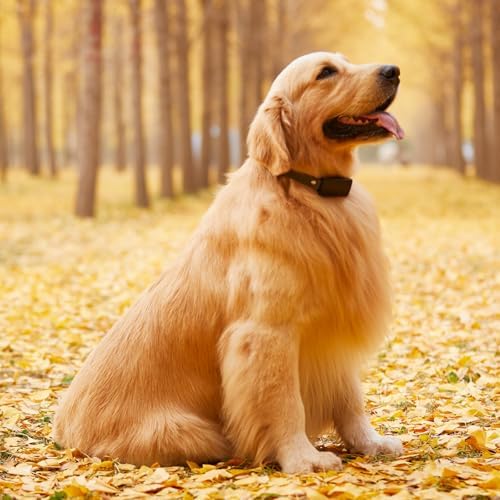 Additional E Collar Receiver for Dog Training, Compatible with Remote, Multi Dog Control, Waterproof Shock Vibration Beep Boost Modes, Adjustable Electric Collar for Large Medium Small Dogs