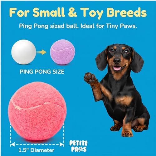 Squeaky Mini Tennis Balls for Small Dogs Puppy - 1.5 Inch - 6 Pack - Dog Toys for Small Dogs, Training Positive Reinforcement, Interactive Fetch Tiny Squeaker Balls for Ball Launcher