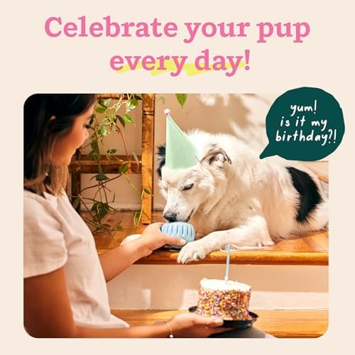WOOF Pupsicle Interactive Dog Ball Toy for Dogs Large 25-75 lbs - Blue | Long-lasting enrichment toy for medium/large dogs, easy-fill design, low-mess play, made of natural rubber, easy to clean