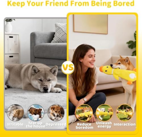 2 Pack Interactive Dog Toys for Small Dogs,No Stuffing Tug Toy