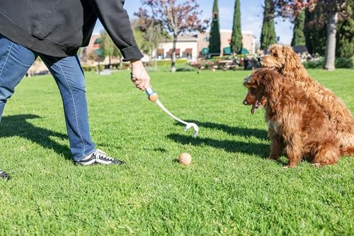 Chuckit! Ultra 18M Dog Ball Launcher for Fetch, 18-Inch Dog Fetch Toy and Interactive Ball Launcher, Includes 3 Medium 2.5-Inch Balls, for Dogs 20–60 lbs