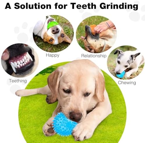 PUPTILY Puppy Toy 2.5” Squeaky Dog Balls Toys and Spikey Dog Ball for Aggressive Chewers for Small Dogs Dog Balls for Clean Teeth and Training （6 Pack