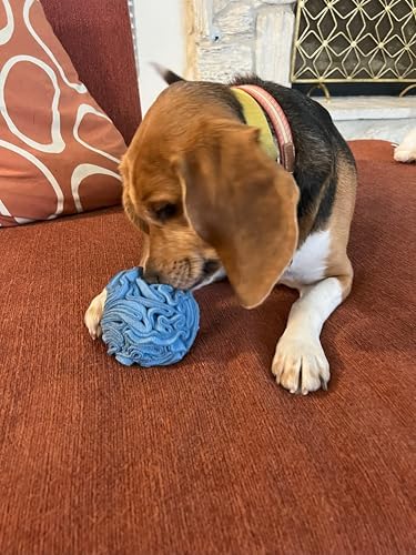 Glory To Dog Puppy/Small Breed Snuffle Dog Puzzle Ball Toy Blue Extra Small