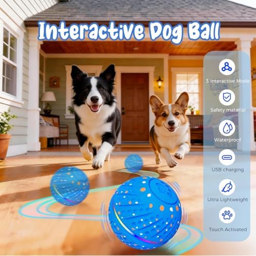 Interactive Dog Ball Automatic Motion Activated 3 Modes