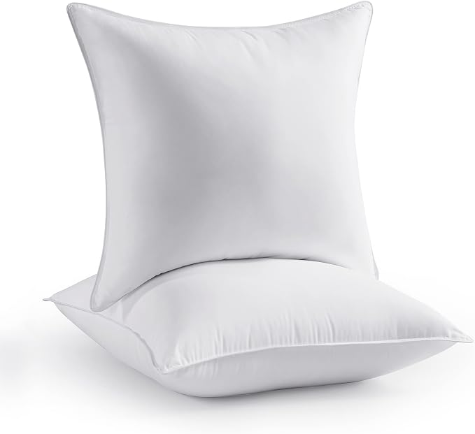 Seward Park Throw Pillows 20 x 20 inch Set of 2, Soft Fluffy Decorative Pillow Inserts for Couch Cushion and Sofa
