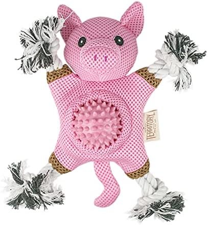 Territory 2 in 1 No Stuffing Removable Fetch Ball Tug Dog Toy for Small Medium Large Dogs, Pig
