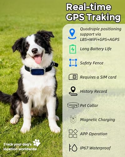 GPS Dog Tracker with Live Tracking & Virtual Fence Alerts