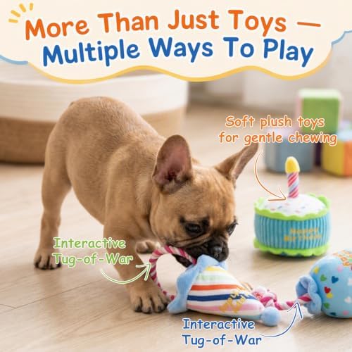 Hollypet Squeaky Hide and Seek Dog Toys for Small and Medium Dogs, Birthday