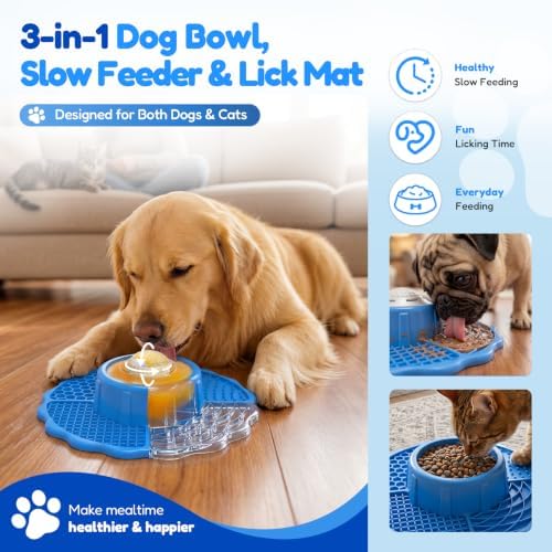 Slow Feeder Dog Bowls with Lick Mat & Rolling Lick Ball, Enrichment Toys