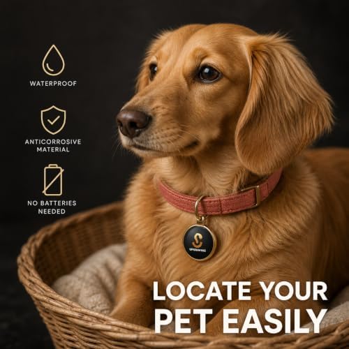 Premium Gold Personalized Pet ID Tag with NFC & QR Code: Silent, Waterproof & Durable Pet Tracker for Dogs & Cats - Instant Location Alerts