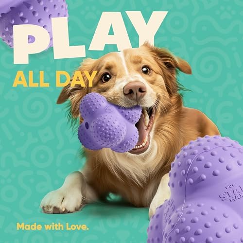 Yomp PupStar MAX Dog Toy – Star-Shaped, Bouncing Ball with Nubbins for Dental Health, Dishwasher Safe, Fun Bounce Path, Made of Non-Toxic, All-Natural Rubber