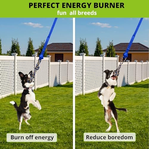 Dog Hanging Bungee Tug Toy: Interactive Tether Tug-of-War for Pitbull Small to Large Dogs to Exercise and Training Equipment - Outdoor Tree Tugger Dog Rope Toy with 2 Chew Rope Toys - Blue