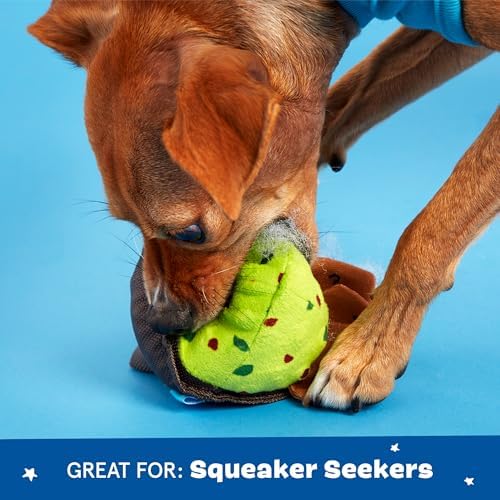 BarkBox Stop Guac and Mole Dog Toy - for Small to Medium Dogs