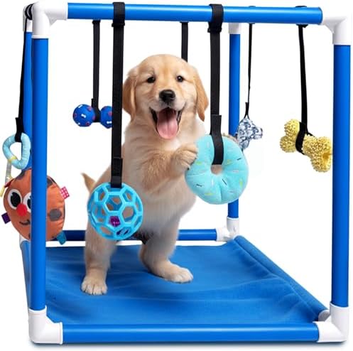 Race&Herd 19.5" Puppy Play Gym — Small Dog Jungle Activity Mat (Ocean)