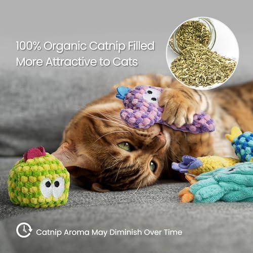 5 Pack Cactus Catnip Toys, 100% Organic Catnip Toys for Indoor Cats, Interactive Plush Chew Fun Without Cotton, Teething Soft Kittens Toys for Kitty, Colorful