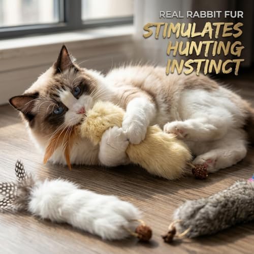 Cat Toy Rabbit Fur Feather 3pcs Gall Fruit Treat Kitten Kick Indoor