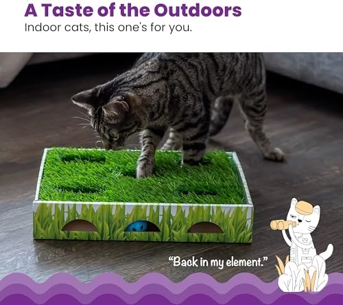 Catstages Grass Patch Hunting Box Cat Toy, Faux Grass & 3 Balls, 10" x 14"