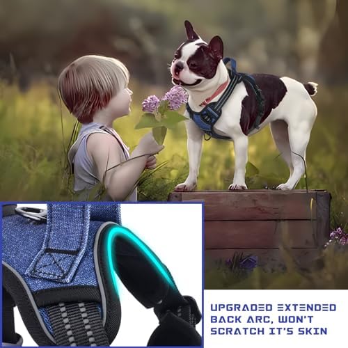 BUMBIN Dog Harness for Large Dogs, No Pull Adjustable No Choke Pet Vest with Dog Leash Fit Smart Reflective Pet Walking Harness for Training Easy Control Soft Handle Denim Blue XL