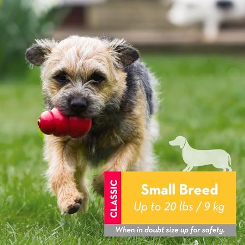 KONG Classic Toy and Easy Treat Peanut Butter Spray, 14 oz, Small Dogs