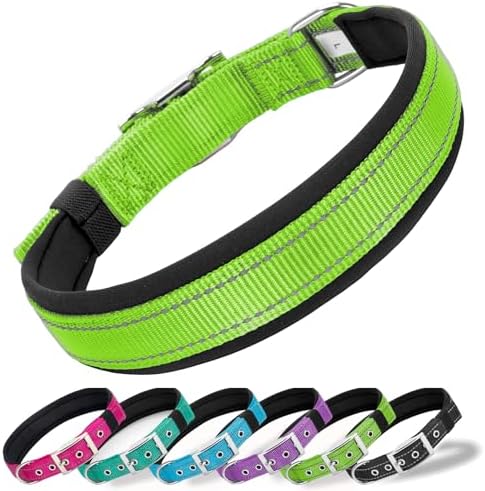 Reflective Dog Collar for XLarge Dogs Wide Padding 6 Holes Adjusta