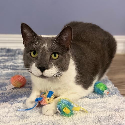 SPOT Stringy Mice & Balls - Catnip Cat Toys, Interactive, Colorful Plush Toys, Fun for Cats and Kittens to Bat and Chase, Boredom Buster - 2 Mice, 2 Balls
