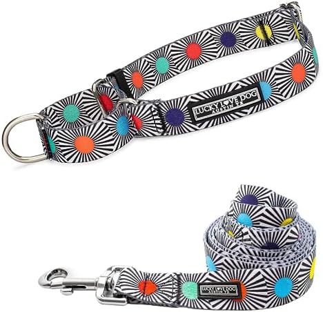 Lucky Love Dog Martingale Collar & Leash Set No Slip Cute – SOCO, Medium