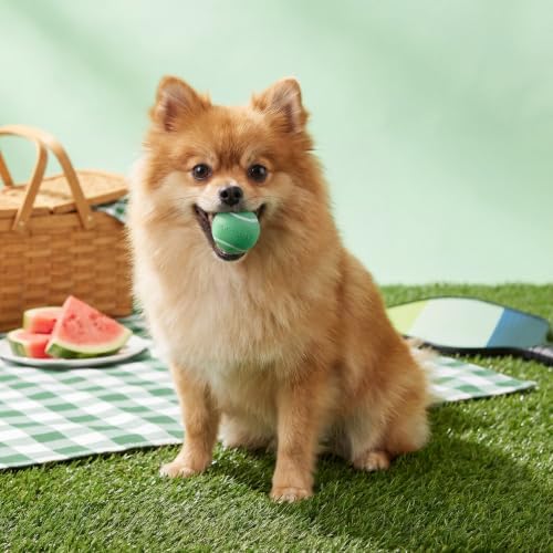 Playology Squeaky Chew Ball Dog Toy - Small, Watermelon Scent, 3-Pack