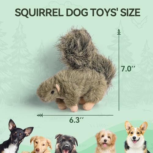 ALL FOR PAWS Squeaky Dog Toys, Plush Squirrel Dog Toy, Stuffed Animal Dog Toys for Small Medium Large Dogs, Soft Puppy Chew Toy with Squeaker